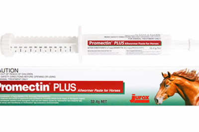 Promectin Plus Allwormer Paste For Horses 32.4 Gm