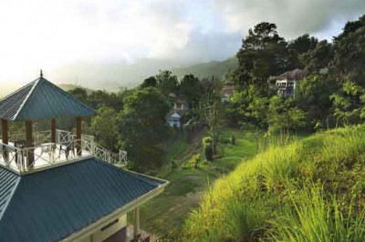 Cottages in Munnar | Southern Panorama