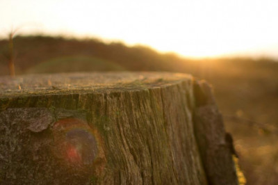 doctor medico y gran persona