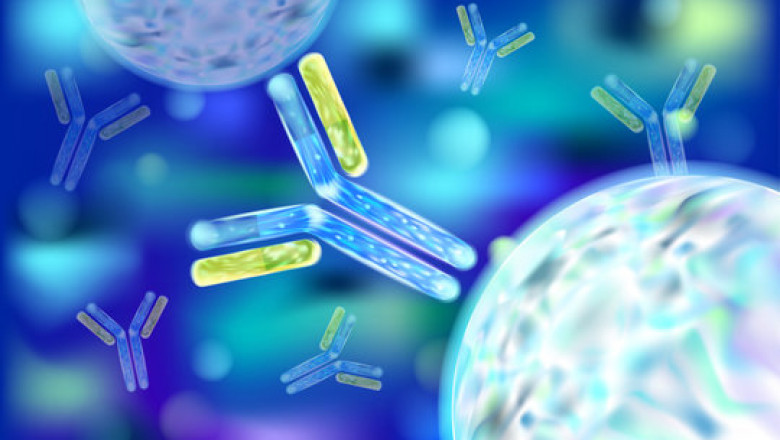Learn More About Immunoglobulin