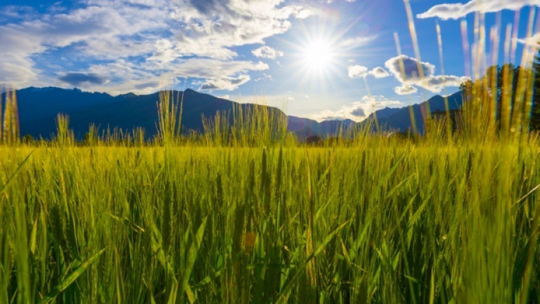 A Variety of Opportunities Are Available Due To the Widespread Use of Agricultural Colorants in Food and Beverage Industries