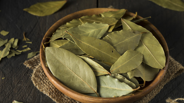 Bay Leaf Market Share, Size Global Growth Analysis