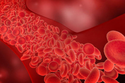 Europe Rehabilitation Therapy Services Market 2022 Growth, Share, Trend, Segmentation and Forecast to 2029