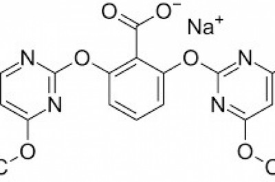 Global Bispyribac-Sodium market May Set New Growth Story: Kumiai Chemical Industry,Hefei Xingyu Chemical,Jiangsu Runze Agrochemical | IMR Market Reports