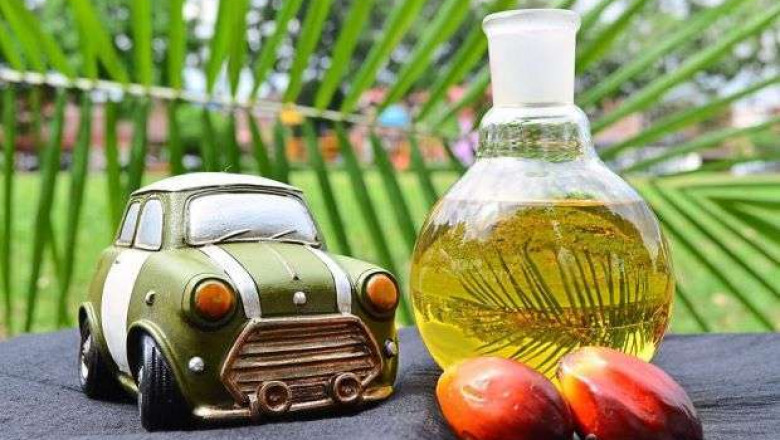 Palm Methyl Ester Market - GROWTH, TRENDS, COVID-19 IMPACT, AND FORECASTS (2022 – 2027)