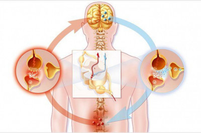 Neuropathic Pain Market Size 2022 Review, Growth Strategy, Developing Technologies and Forecast by 2029