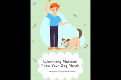 Useful Tips For National Train Your Dog Month