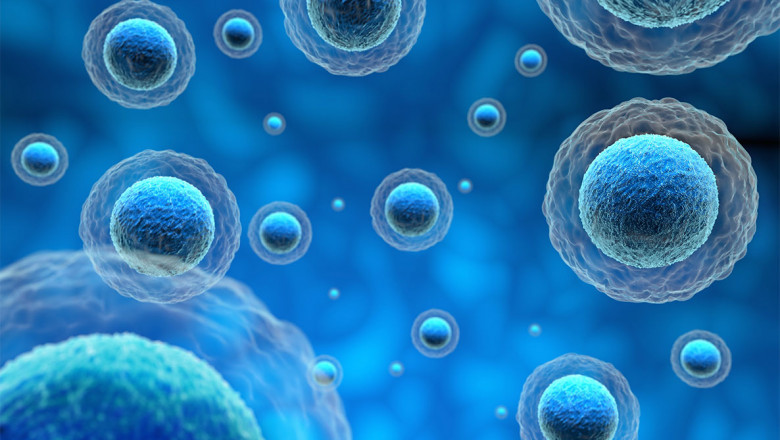 COVID-19 Impact on Plant Stem Cell Market