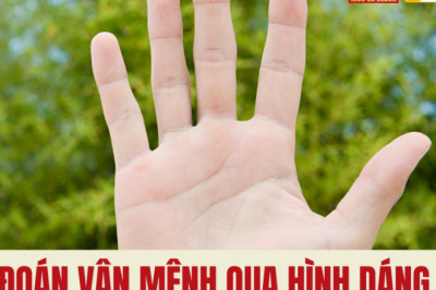 Doan van menh qua hinh dang 5 ngon tay