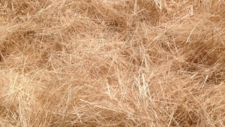 Sugarcane Fiber Market to witness profit-making growth over 2021-2031– Fact.MR Study