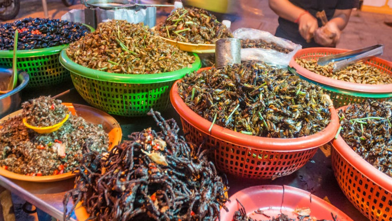 Edible Insect Market Report 2021: Investment Analysis and Growth Opportunities 2021-2027