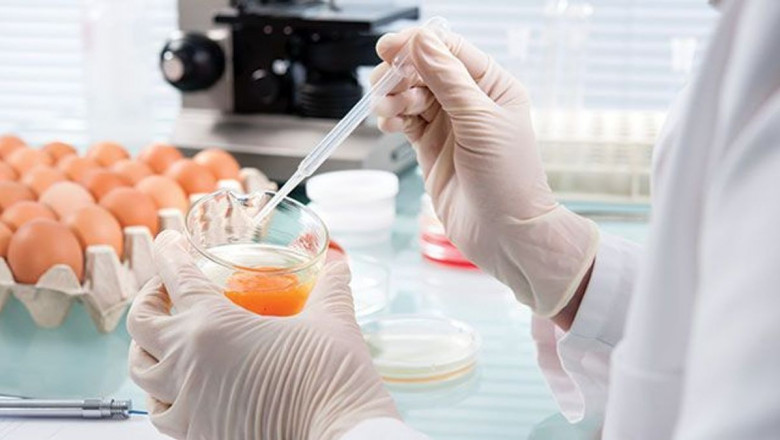 Food Safety Testing Market: Comprehensive study explores Huge Growth in Future