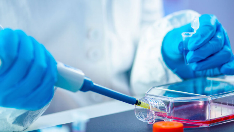 Top 10 Pharma Franchise Company in India in one place!