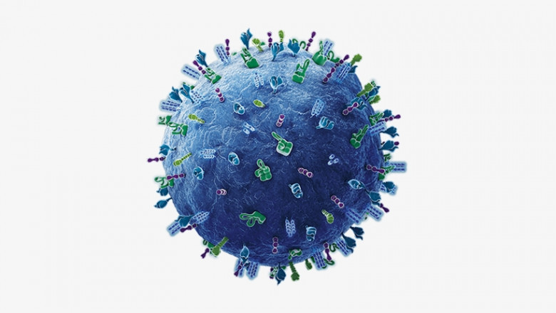 B-cell Maturation Antigen (BCMA) Targeted Therapies Market Overview