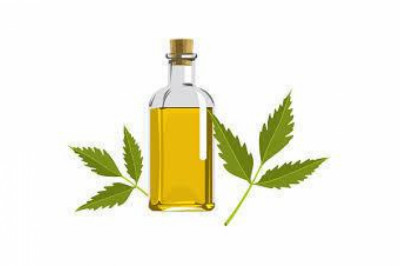 Neem-based Pesticides market To See Significant Rise In Coming Years | The National Fertiliser Limited, Agrilife