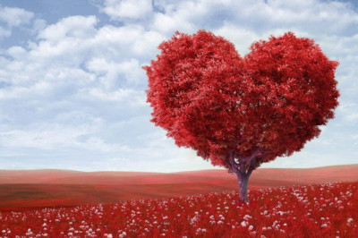 RETURN EX-LOVER WITH SEMEDO LOVE SPELLS +27719567980