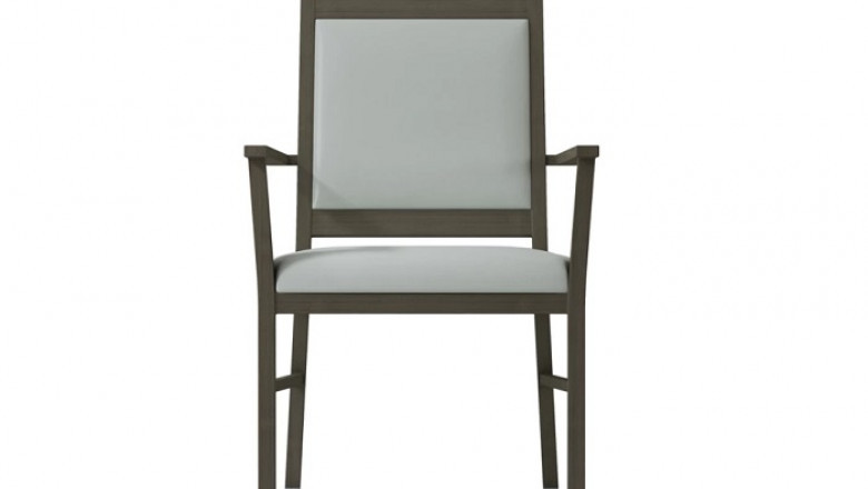 Upholstered Dining Chairs - Things to Consider