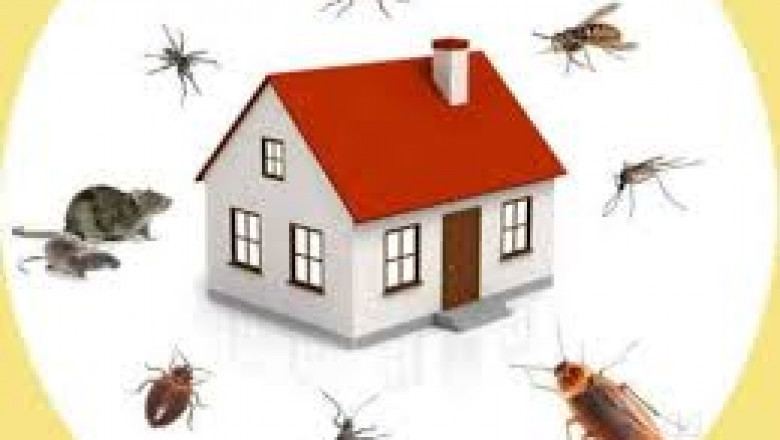 Pest control Hyderabad