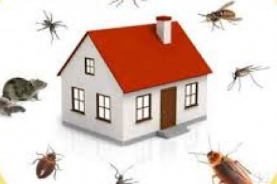 Pest control Hyderabad