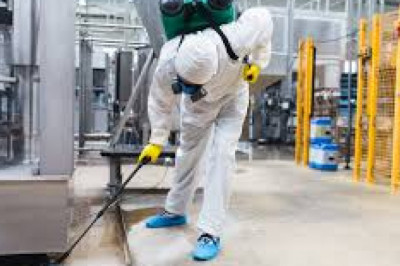 Various Sorts of Pest Control Methods