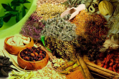 The Best Medicine to Treat Jaryan Problem Treatment