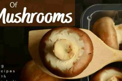 Benefits Of Mushrooms and Types of Mushrooms found in India