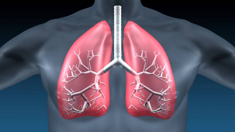 Idiopathic Pulmonary Fibrosis Treatment Market Growth, Trends and Forecast