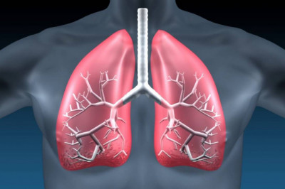 Idiopathic Pulmonary Fibrosis Treatment Market Growth, Trends and Forecast