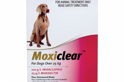 Buy Moxiclear for Large Dogs Over 25 Kg Pink Pack