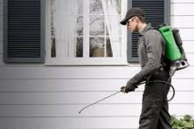 Ensure To Hire Pest Control Services by Professionals