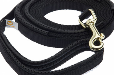 Canny Collar Recall Lead Medium/Large | DiscountPetCare