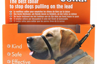 Canny Collars For Dogs | DiscountPetCare