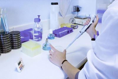 Industrial Enzymes Market Size, Share, Trends, Analysis and Research Report 2021-2026