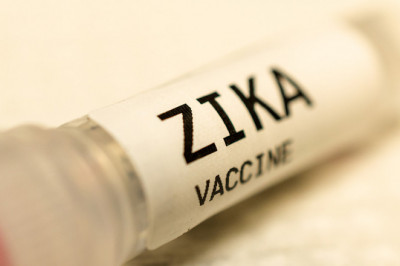 Definition of the world Zika Vaccines Market