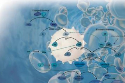 Hemostasis Diagnostics Market Dynamics