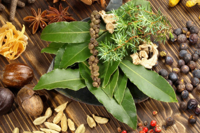 Natural Remedies for Jaryan Treatment