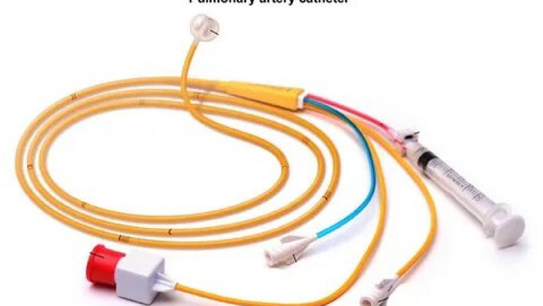 Overview of the regional outlook of the Pulmonary Artery Catheters Market
