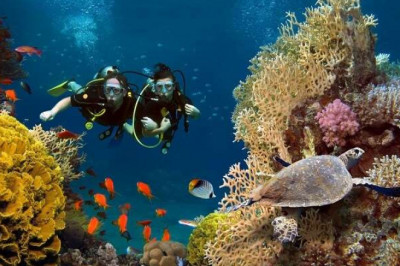 Scuba Diving Mallorca Is a Dream Come True