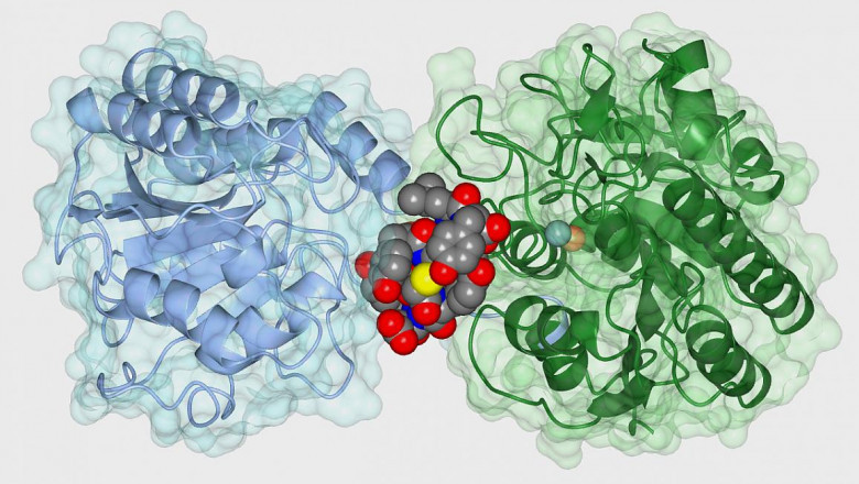 Cathepsin Inhibitors; Can Be Used to Treat Cancer, Ebola Infection, and Brain Injuries