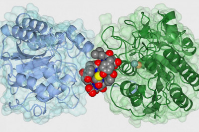 Cathepsin Inhibitors; Can Be Used to Treat Cancer, Ebola Infection, and Brain Injuries