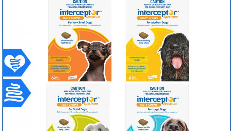 Interceptor Spectrum Worm Protection for Dogs 6 Chews