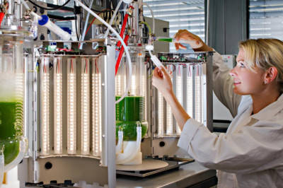 Bioreactors are emerging as an environmentally friendly solution for various chemical process