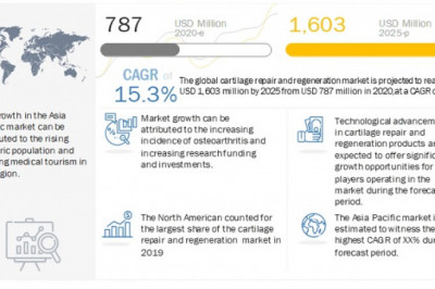 Cartilage Repair Market Industry Dynamics, Market Size and Opportunity Forecast to 2025