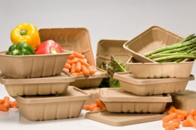 Europe Biodegradable Foodservice Disposable market is estimated to grow at a CAGR of 5.6% Till 2027 | Biopac (U.K.) Ltd,