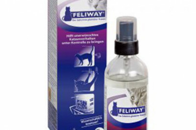 Feliway Spray For Cats 60 ML Online | DiscountPetCare