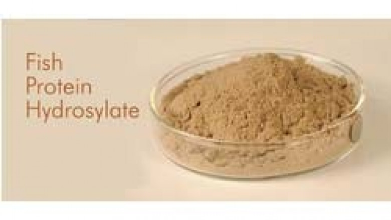 Global Fish Protein Hydrolysate Market analysis,size, Report - 2022 to 2028|Copalis Sea Solutions (France),GELITA AG (Germany),CR Brown Enterprises (US)