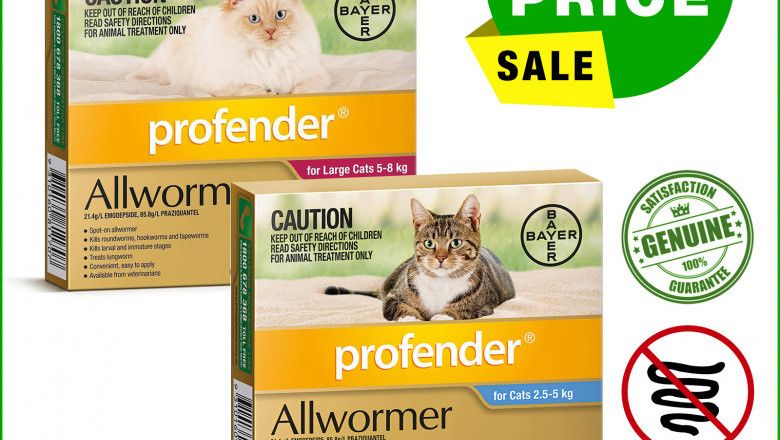 Maintain the health of your cats with Profender Allwormer