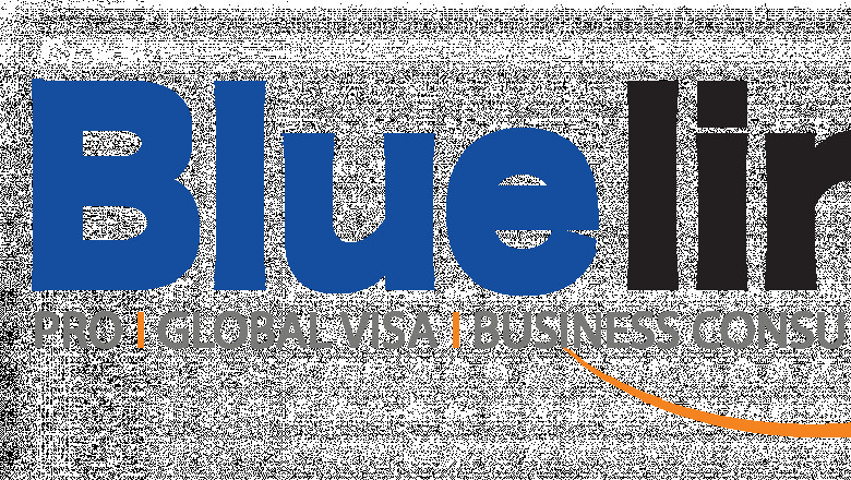 pro service providers in qatar