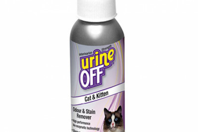 Urine Off Odour & Stain Remover For Cats & Kittens