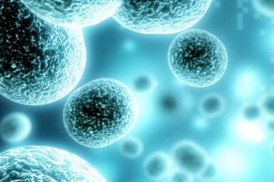 3D Cell Culture Market: Industry Trends, Market Segments, Landscape, Analysis and Forecast – 2027